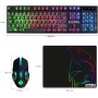 Empire Gaming - Armor RF800 Teclado y Ratón para Gamers Inalámbrico Recargable QWERTY(Layout Español) con Mouse Pad-RGB Wireless