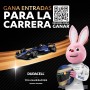 Duracell Plus pilas 9 V (pack de 4) - Alcalinas - 100 % de duración garantizada - Fiabilidad para dispositivos cotidianos -