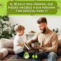 Genérico Aguacate Positivo con 2 Llaveros Originales | Regalos Originales para Mujer | Regalos Originales para Hombre | Regalo