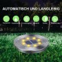 Qedertek Luz Solar Jardin 8 LED 8 Pack de Tierra, Lampara Exterior IP65 Impermeable Blanco Cálido para Césped, Patio, Camino,