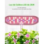 GOLUMUP Sistema de Cultivo Hidropónico Kit de Cultivo Interior con Iluminación LED Automática, Huerto Interior con Temporizador