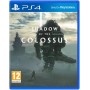 Playstation Shadow Of The Colossus (PS4)