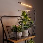 bseah - Luz de cultivo de plantas para plantas de interior, luz de crecimiento de espectro completo, 3 modos y regulable de 10