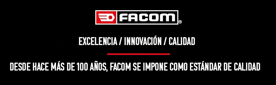 Experiencia Facom al serivicio automovil