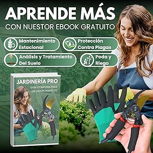 E-BOOK GRATUITO