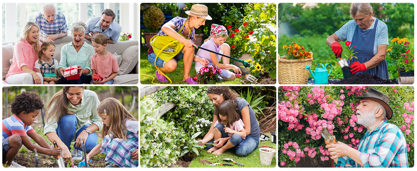 Juego de Herramientas de jardinería